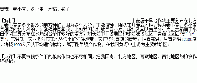 青稞简谱_青稞少年简谱(2)