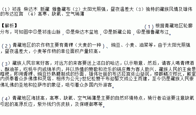 青稞简谱_青稞少年简谱