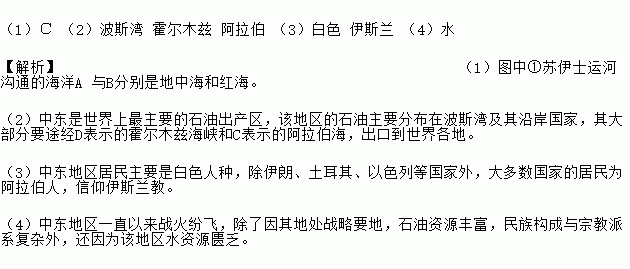 中东的主要人口人种_人口与人种图片