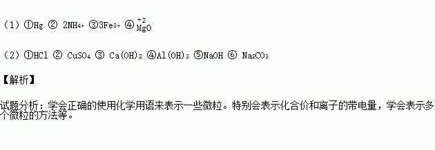 (1)用化学用语表示①水银②2个铵根离子③3个铁离子④氧化镁中