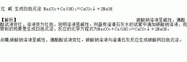 碳酸钠溶液,观察到的现象是____________,反应的化学方程式为