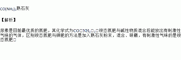 尿素是目前最优质的氮肥其化学式为区别铵态氮肥与钾肥的方法是加入