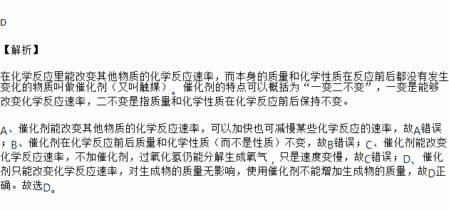 坚信爱会赢小提琴谱