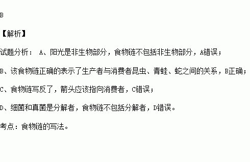 蚂蚱简谱_蚂蚱简笔画(3)