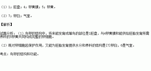 下圖為鳥卵結構示意圖請據圖完成下列問題