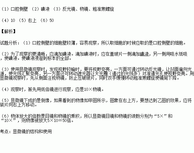 在制作人口腔上皮细胞临时装片时_制作人的口腔上皮细胞(2)