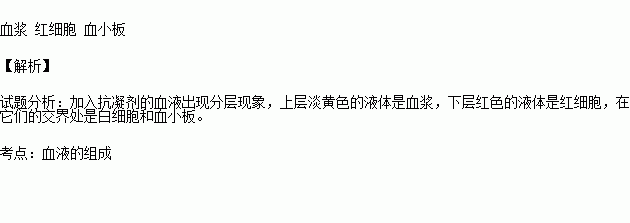 血液會有明顯的分層現象:上層是淡黃色.半透明的 .下層是深紅色.