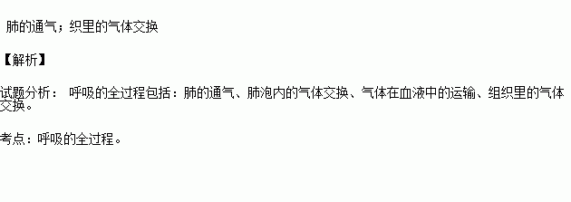 呼吸的全過程包括四個環節: ,肺內的氣體交換,氣體在血液裡的運輸, .