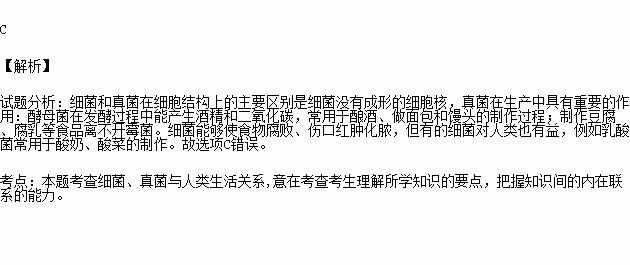 在制作人口腔上皮细胞临时装片时_制作人的口腔上皮细胞(3)