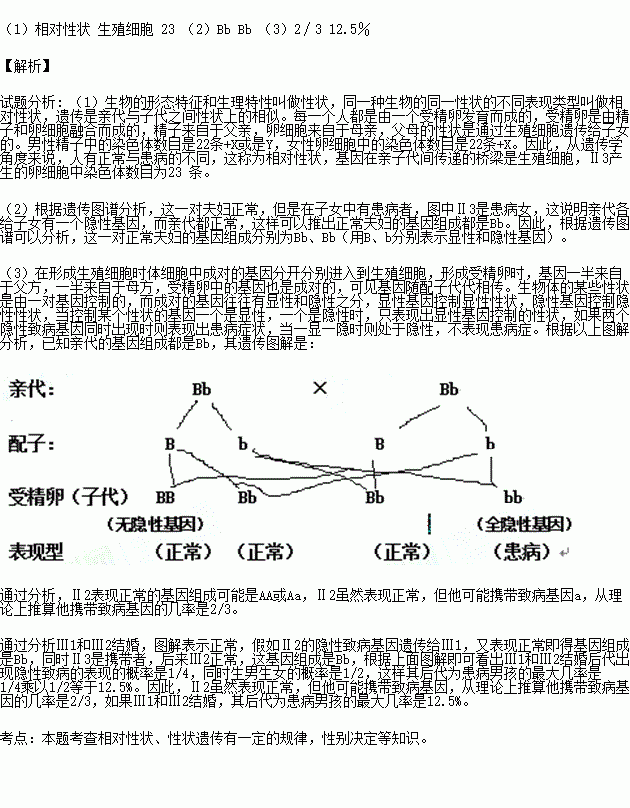 人口上表皮是装片还是图片_洋葱表皮临时装片