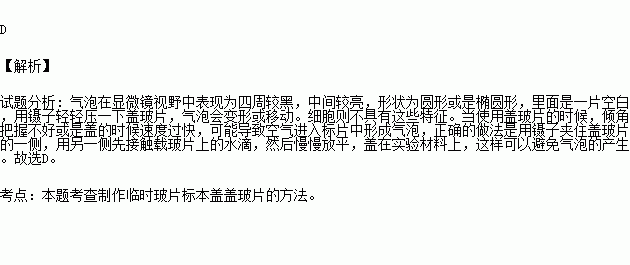 污点简谱_污点的情侣头像
