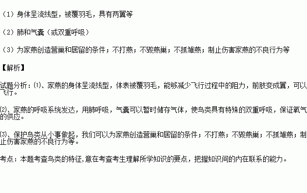 简谱南下_儿歌简谱(2)