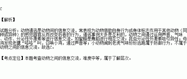 鹰虫鸡是什么成语_这是什么成语看图(3)