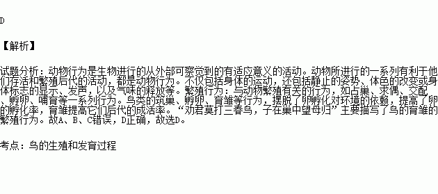 青与春简谱_声声慢简谱青砖伴瓦漆(2)