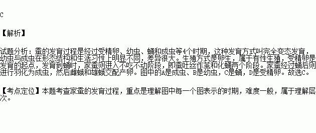 青与春简谱_声声慢简谱青砖伴瓦漆(3)