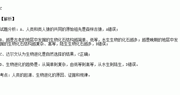 高等生物的化石出現在古老的地層裡c.生物進化是自然選擇的結果 d.生