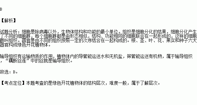 藕断丝连的简谱