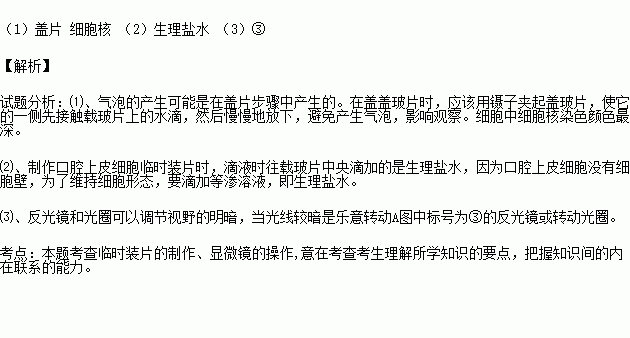 人口上表皮是装片还是图片_洋葱表皮临时装片