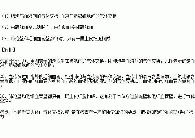 下圖是人體內氣體交換過程的示意圖.