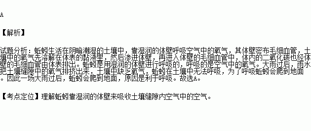 蚯蚓的简谱_蚯蚓卡通图片(3)