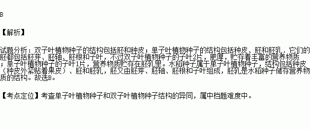 大米中的主要营养物质来自水稻种子的哪一结构( )a胚 b胚乳 c