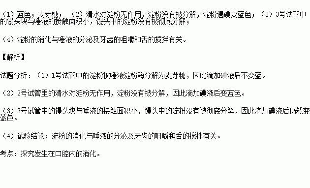 馒头在试管中消化的实验怎么做(馒头在试管中消化的实验怎么做视频)-第2张图片-鲸幼网