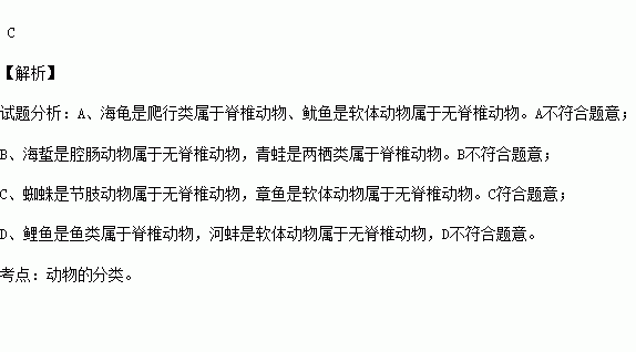 章鱼简谱_章鱼哥图片(2)