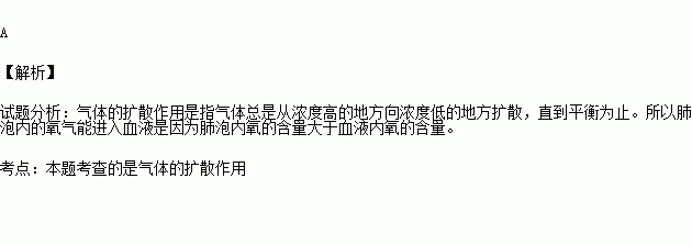 空氣中氧的含量大於肺內氧的含量 喜歡 | 0 相關試題 人體缺乏維生素