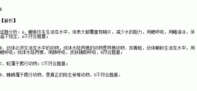 鱼幼薇简谱_鱼幼薇的大结局(2)