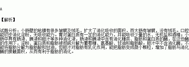 下列有关人类消化作用的叙述错误的是( )a