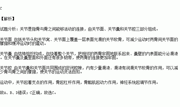 精什么力什么的成语_成语故事图片(3)