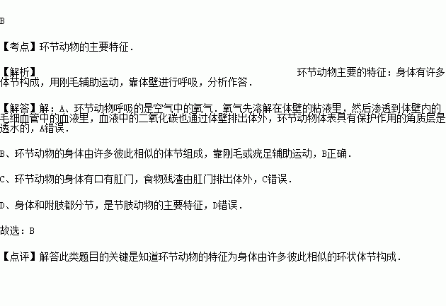 抱绳表寝组成什么成语_成语故事图片(3)