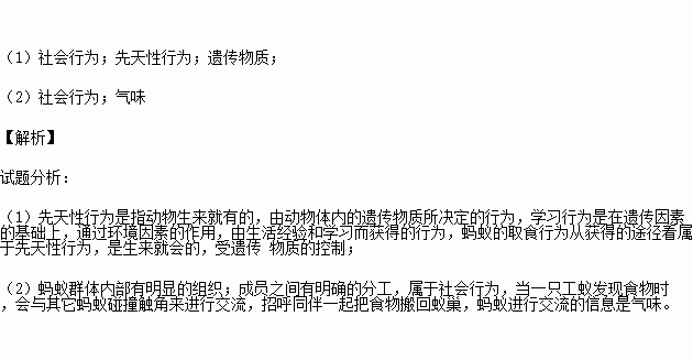 西楚霸王简谱_西楚霸王(2)