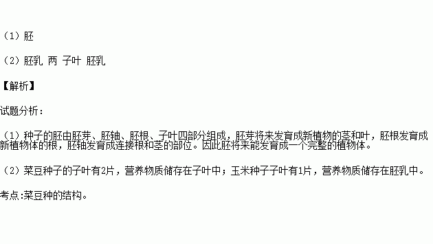 下圖為菜豆種子結構示意圖.請據圖回答