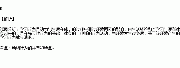 動物的學習行為一旦形成,就不會改變.