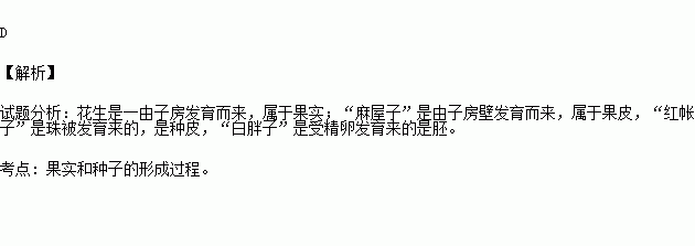 花生字谜图片