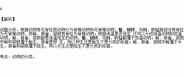 什么生什么雀的成语_成语故事图片(3)