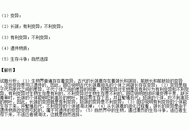 长颈鹿简谱