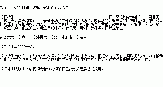 (201561長沙)如圖是對鯽魚,貓,麻雀,大閘蟹,扇貝五種動物分類的概念