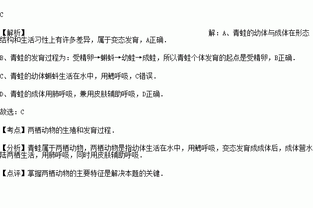 其个体发育的起点是受精卵c它的幼体蝌蚪生活在水中用肺呼吸d它的