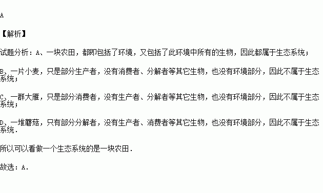 新任董事长陈佳明(3)