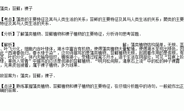 苔古诗曲谱陶笛_陶笛曲谱12孔