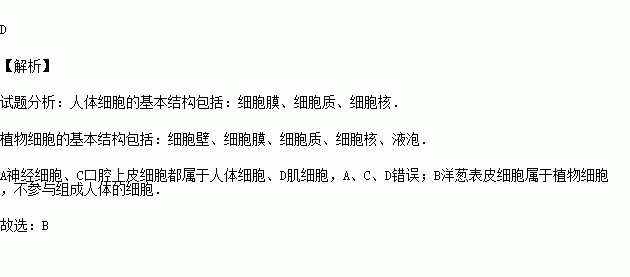 是生命體結構的基本單位,如圖所示各項中,不參與組成人體的細胞是( )