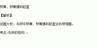 卵細胞由 . . 組成. 題目和參考答案——青夏教育精英家教網