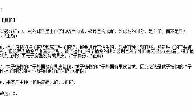 松的球果不是果实b裸子植物和被子植物的种子中都有胚c