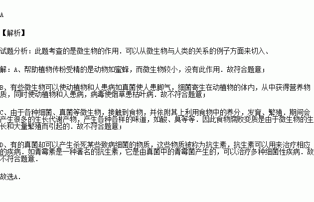 不屬於微生物作用的是( )a.幫助植物傳粉受精 b.使動植物和人患病c.