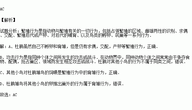 下列说法正确的是