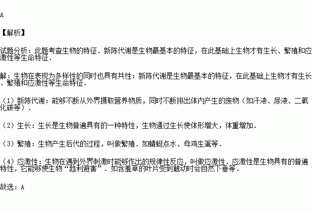 什么陈代谢成语_成语故事图片(3)