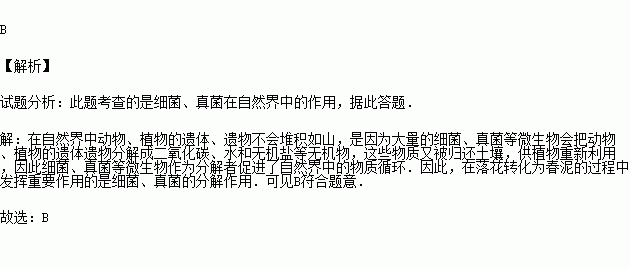 花落红叶飞简谱_少司命万叶飞花(2)