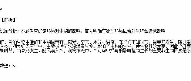 青与春简谱_声声慢简谱青砖伴瓦漆